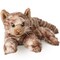 Bearington Louie The Realistic Cat Stuffed Animal - 15" Brown Tabby Cat Plush Toy with Soft Plush Fur - Adorable Lifelike Design Plush Kitty for Kids, Collectors, and Feline Lovers